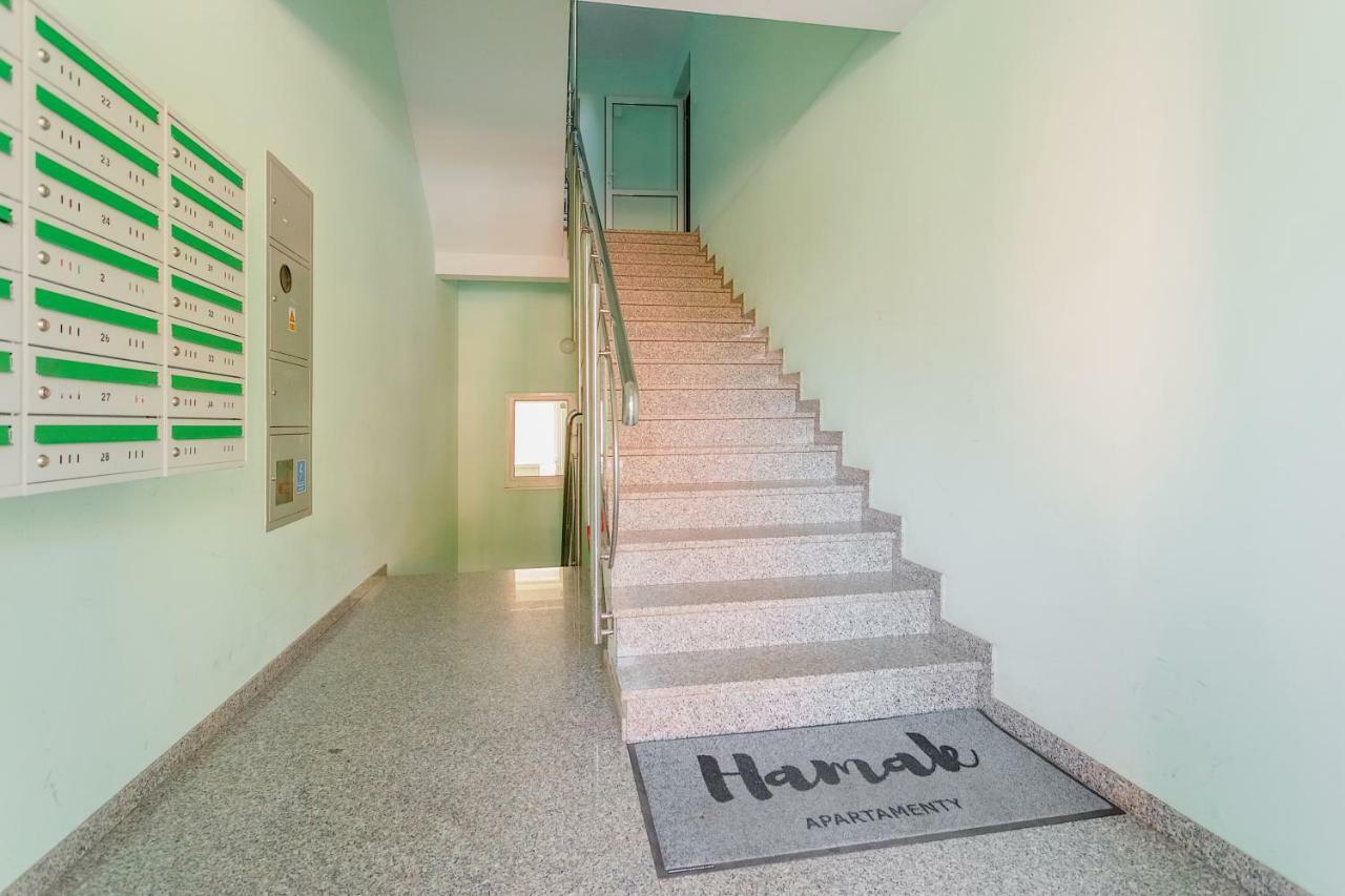 Apartment Hamak